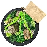 I GIARDINI DI GIULIA