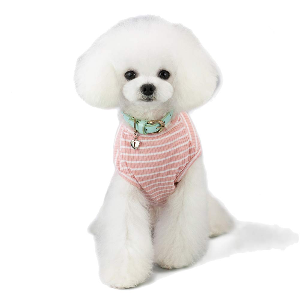 YULOONGCute Breathable Mesh Small and Medium-Sized Dog Clothes T-shirt Sportswear Outing Wear Spring and Summer Clothes Sun Protection Anti-Hair Loss