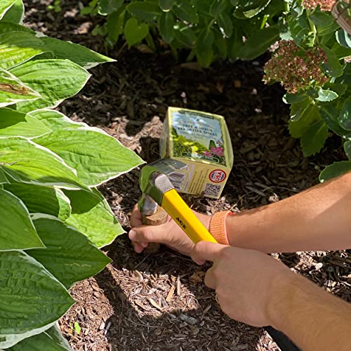 The Old Farmer's Almanac Tree & Shrub Fertilizer Spikes (Box of 12 Spikes - 3 Lbs) by The Old Farmer's Almanac - Image 6