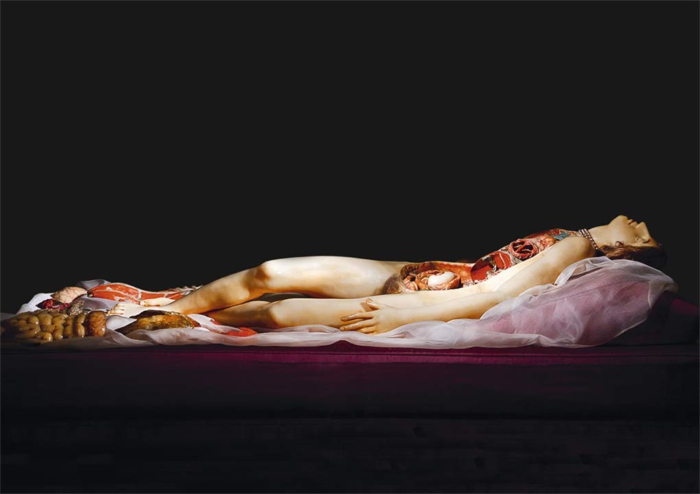 The Anatomical Venus: Wax / Sex / God / Death