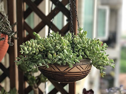 Ceramic Hanging Planter Indoor Outdoor Flower Mini Pot, Retro Garden Patio Planter Home Decor Mini Pots With Chain #TOP1