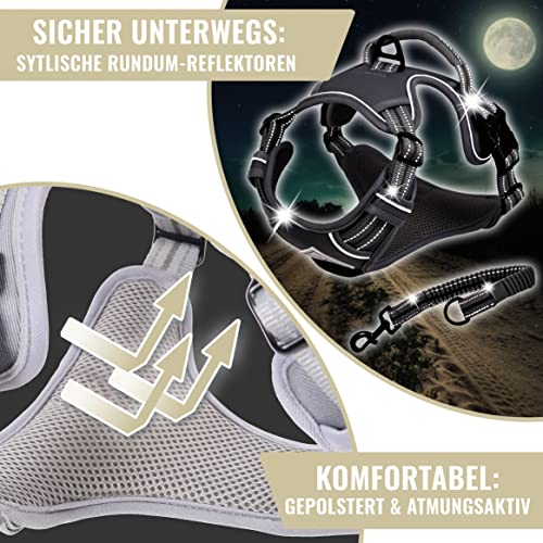 ne&no® Hundegeschirr mit passenden Ruckdämpfer [Developed by NE&NO] Geschirrset | Brustgeschirr für kleine und große Hund e | Geschirr Hund | Sicherheitsgeschirr (L)