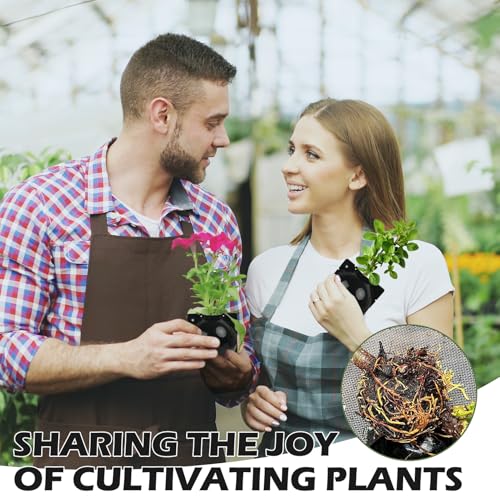 NVAAV Caixa de cultivo de raiz de árvore, bola de enxerto de reprodução assexuada de plantas transpa