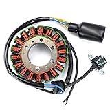 yamaha 660 tenere 1990  TERAM LOISIRS Stator - Accensione compatibile per Yamaha XT 660 XT660Z Tenere, 2008 2009 2010 2011 2012 2013