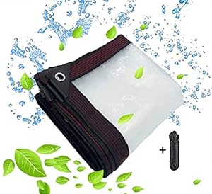 BCBIG Transparente Plane 3x5m Wasserdicht