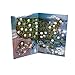 FCM State Quarters 1999-2009 & National Park Quarters 2010-2021 in a Map Book. Complete Set