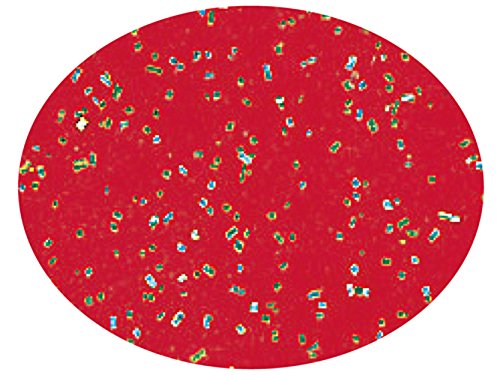 楕円プレースマット L クリスマスレッド AMJ-5Y-104