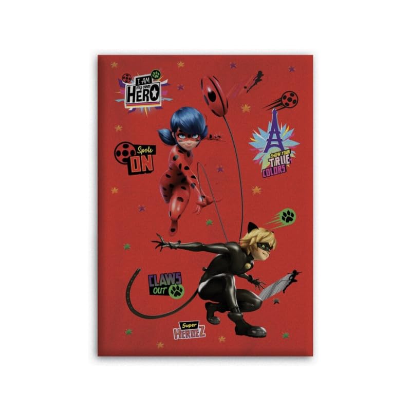 AYMAX Miraculous Ladybug Blanket - Miraculous Design on Red Background