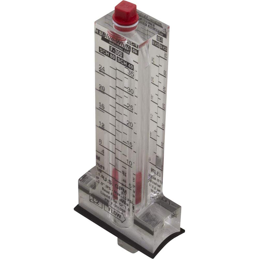 BlueWhite Industries F30100P F300 Flow meter Horizontal Standard Flow