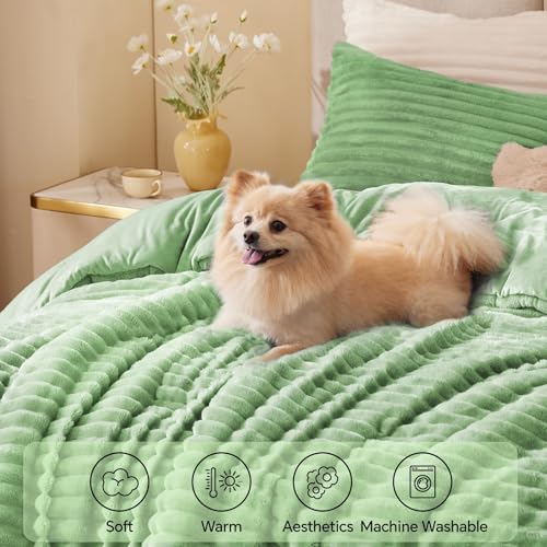 BEDELITE Fleece California King Comforter Set -Super Soft & Warm Fluffy Green Bedding, Luxury Fuzzy Heavy Bed Set for Winter with 2 Pillow Cases
