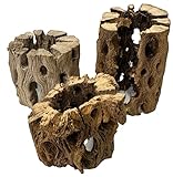 Awesome Industries 3 Natural Cholla Wood Air Plant Display Holders Individually Unique Round Decorative Stands (3 Pack Cholla Rounds)