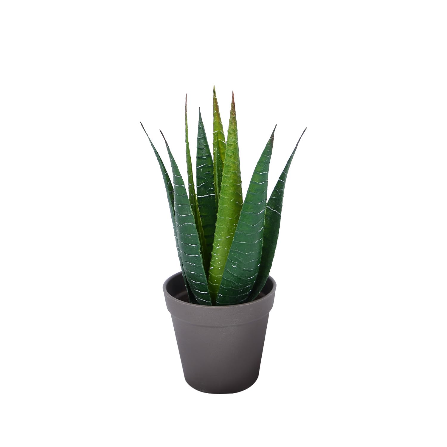 Amazon Basics Artificial Aloe Vera Plant with Brown Plastic Pot | Realistic 28 cm Faux Greenery | Durable Plastic | Stylish & Compact | Zero Maintenance | Indoor, Outdoor, Home & Office Décor