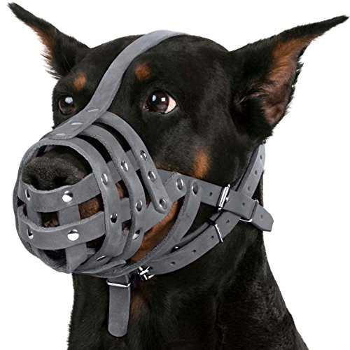 Collardirect Leather Dog Muzzle Doberman German Shepherd Dalmatian Setter Basket Medium Large Breeds Pink Gray (M, Black) #TOP7