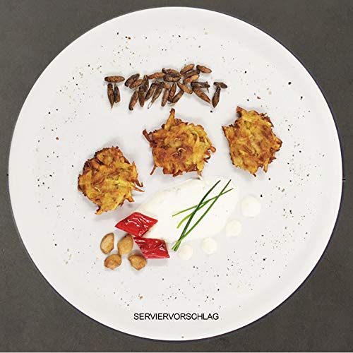 Crunchy Grillen 'Salt' - 20g Insekten Snack zum Sofortverzehr oder als Kochzutat - Insektensnack von 'SNACK insects'