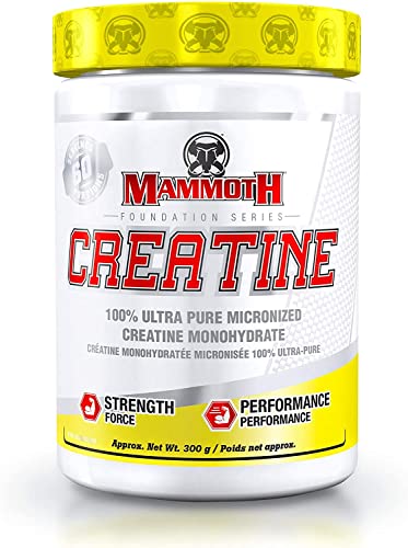 Mammoth Creatine 300gr