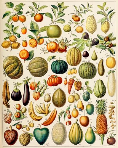 Tableau de fruits Adolphe Millot 60x90cm pour déco bureau
