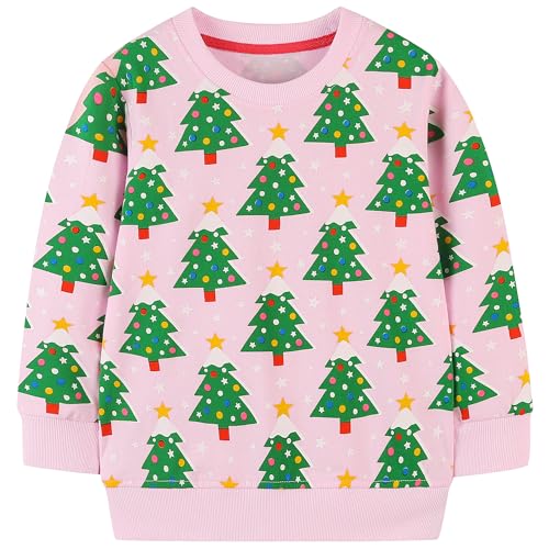 Image of AIWUHE Toddler Cotton Sweatshirt Boys Girls Pullover Long Sleeve Tops 2-6Y