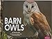 Barn Owls