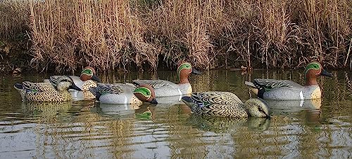 Higdon Outdoors Standard Green Wing Teal Duck Decoys, Foam-Filled #TOP7