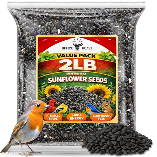Office Roast Premium Black Sunflower Seeds – | 2 LB Bulk Value Pack | Natural Wild Bird Seed for Backyard Feeders, High-Energy Food for Songbirds