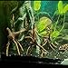 emours Aquarium Driftwood Tropical Fish Plant Habitat Decor Varies Size, Small & Large,2 pcs Pack
