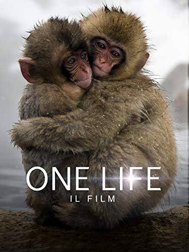  One Life