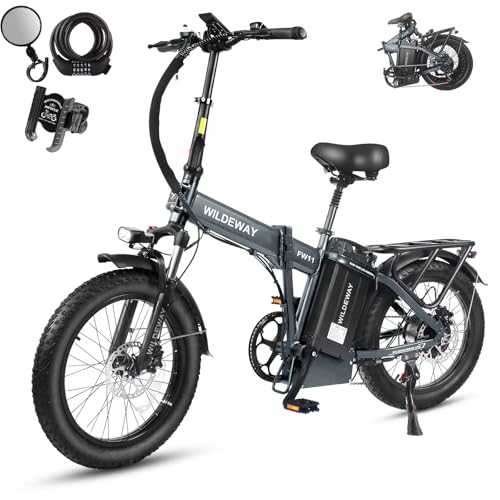 Wildeway Folding Electric Bike with 750W Motor