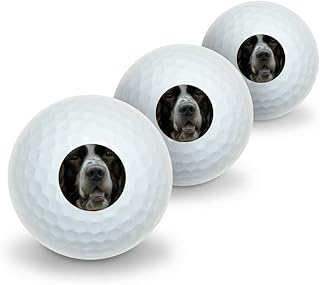 GRAPHICS & MORE English Springer Spaniel Dog Face Closeup Novelty Golf Balls 3 Pack