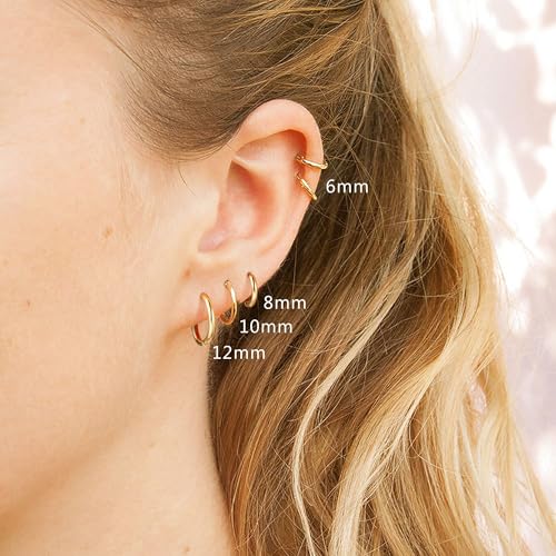 Image of 316L Surgical Steel Hoop Earrings, 6-20mm Huggie Hypoallergenic, Small Sleeper Mens Cartilage Earrings for Women 20G 18G