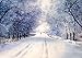 Produktbild XHXI Eisige Schneewelt Frozen 3D Full Sizefototapete Poster Wallboards Wandbild fototapete 3d Tapete effekt Vlies wandbild Schlafzimmer-430cm×300cm
