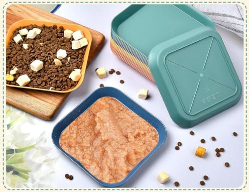 Katzenschüssel 10 Stück Katzennapf Flach, Fressnapf Katze Quadrat (14.5 X 14.5 X 1.5cm) Katzenfutter Napf, Katzenteller für Kätzchen, Kurzbeinige, Welpen oder andere Kleintiere