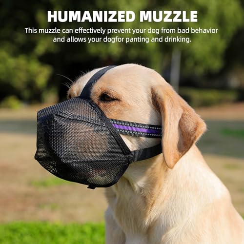 Maulkorb Mittlere Hunde, Hundemaulkörbe mit Klettverschluss, Atmungsaktive Hunde Maulkorb, Haustiermaske Hundemaulkorb mit Reflektierendem & Verstellbarem Riemen (XL)