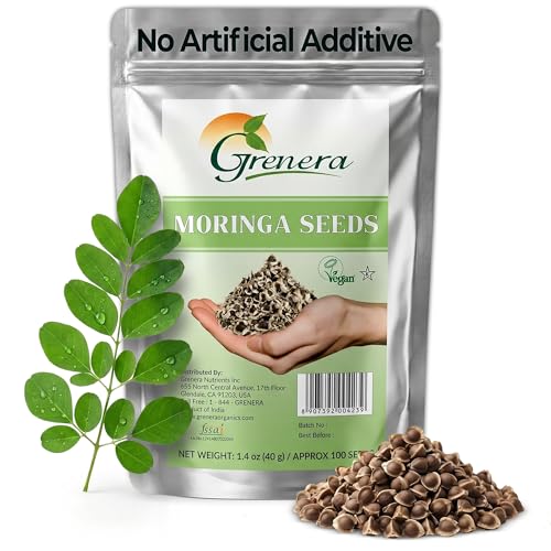 Grenera Moringa Seeds PKM 1 Variety | Edible Moringa Oleifera Seeds | Easy to Grow in Warm Climates | Approx. 7580% Germination Rate | Suitable for Home Gardening & Outdoor Planting | 100 Count