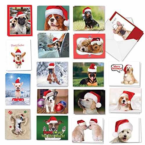 Cartes de Noël chiens gagnez du temps avec ce lot de 36