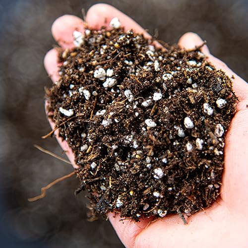 Carnivorous Plant Potting Mix – Premium Venus Flytrap, Pitcher Plant and Sundew Substrate with Perlite, Coco Coir and Leca for Healthy Growth and Strong Root Development (20L)