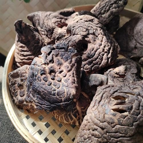 Amazon.co.jp: 大洋物産 香茸 コウタケ 乾燥 (中国雲南産 / 鹿茸