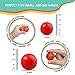 HAPPY JACK & MERRY Metal Jacks Game with Ball Classic and Pick Up Sticks,12 Metal Jax and 2 Sizes of Bouncy Red Ball with Bag for Family Games Night