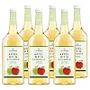 Katlenburger Fruchtweinschorle Apfel, trinkfertige Schorle aus Apfelwein 6 x 1 l, frisch, spritzig, fruchtig