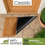 Carpido B088FTD8BG lato 4