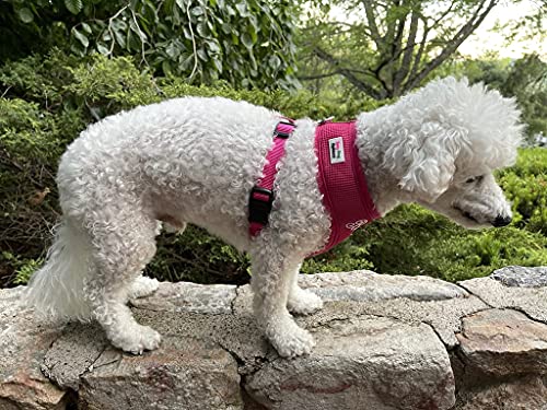 Personalized Dog Harness With Embroidered Pet Name, Soft Padded Air Mesh Harness For Small And Medium Dogs, No Pull Adjustable Puppy Walking Vest, Made Usa (Medium, Pink) #TOP4