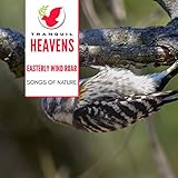 Tranquil Heavens