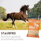 Supravit Heucobs für Pferde staubfrei | 20kg Pferdefutter | leckeres Heu gepresst in Pellets | gut geeignet für Allergiker | Auch ohne Einweichen zu verfüttern
