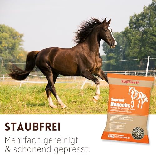 Supravit Heucobs für Pferde staubfrei | 20kg Pferdefutter | leckeres Heu gepresst in Pellets | gut geeignet für Allergiker | Auch ohne Einweichen zu verfüttern