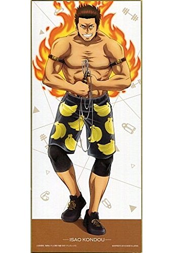 一番くじ 銀魂 筋トレはほどほどに G賞 色紙 近藤勲