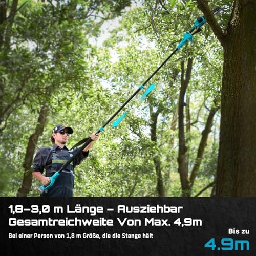 Bild 2 - SEESII PS810 2-in-1 Hochentaster Akku, 8 Zoll Bürstenlose Mini Kettensäge mit 2 * 4.0Ah Batterien, 4,87 m Reichweite, Hochentaster Elektrisch zum Baumbeschneiden & Holzschneiden