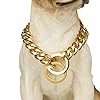 Trendy Gold Cuban Link Dog Collar – Heavy Duty Chain Collar
