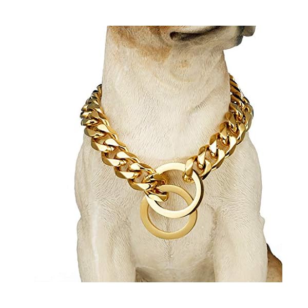 ToBeTrendy-Chain-Dog-Walking-Collar-Gold-Cuban-Link-Dog-Collar-316L-Stainless-Steel-Metal-10mm15mm-Heavy-Duty-Chain-Collar-for-Small-Dogs15MM-18 Trendy Gold Cuban Link Dog Collar - Heavy Duty Chain Collar