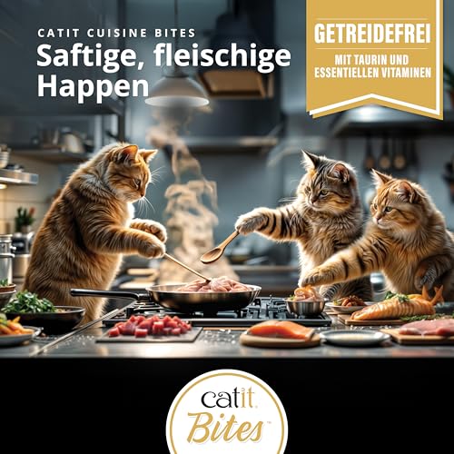 Catit Cuisine Mix Pack, 12 x 75 g – Image 5