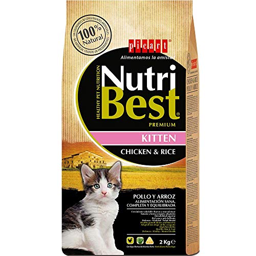 Pienso para Gatitos Junior Marca Nutribest