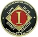 1 Year NA Gold Plated Medallion, Recovery Token, NA Token, Triple Clear Epoxy Sealed